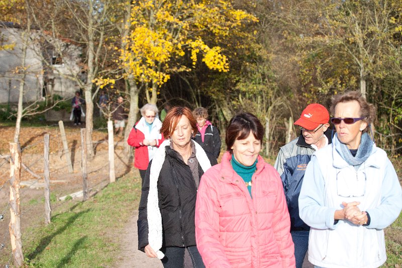 Rando Entre Deux O 2011-2939.jpg